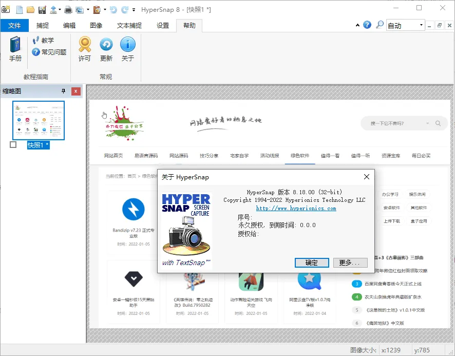 HyperSnap v10.0.2 便携汉化版：全能截图录屏软件