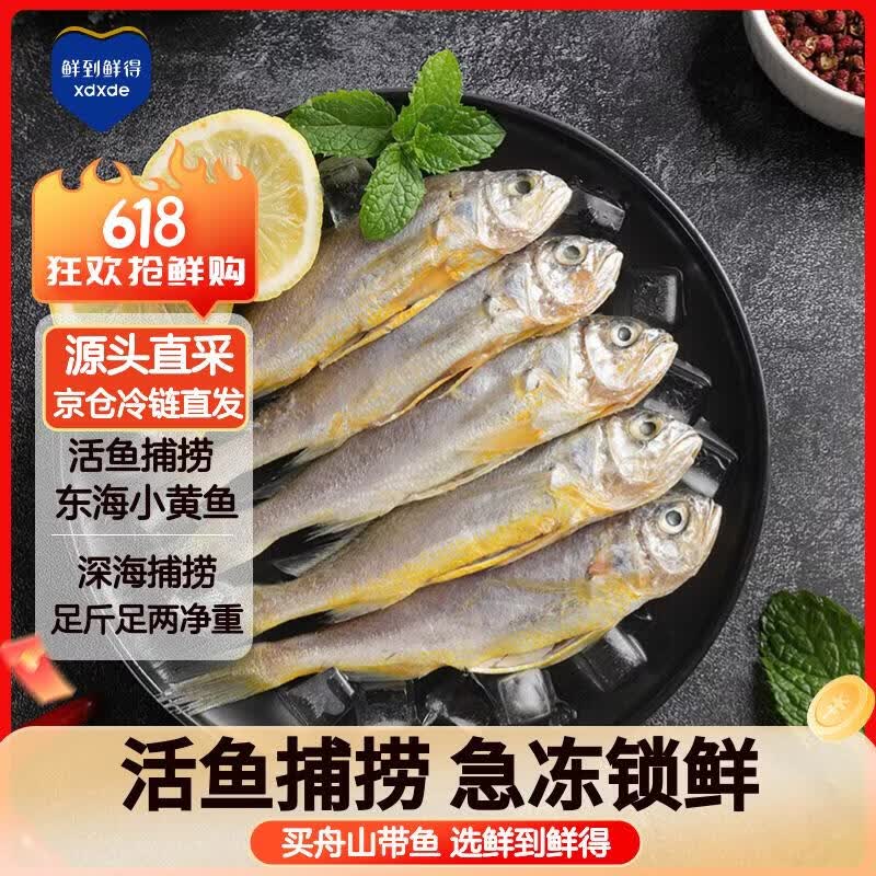 鲜到鲜得冷冻海捕小黄鱼450g，1.9元抢！