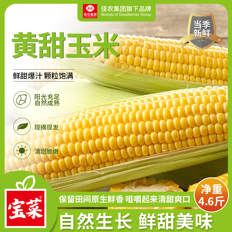 佳农宝菜山东水果玉米现摘现发