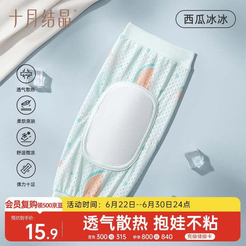 十月结晶西瓜冰冰袖枕百亿补贴15.9元